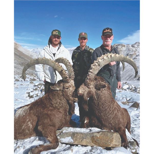 502 #DIN-02 Pamir Ibex Hunt, Tajikistan