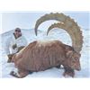 Image 3 : 502 #DIN-02 Pamir Ibex Hunt, Tajikistan