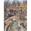 Image 1 : 503 #DIN-03 Severtzov Argali Conservation  Project Hunt, Uzbekistan