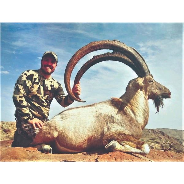 505 #DIN-05 Sindh Ibex Hunt, Pakistan