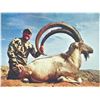 Image 1 : 505 #DIN-05 Sindh Ibex Hunt, Pakistan