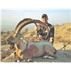 Image 4 : 505 #DIN-05 Sindh Ibex Hunt, Pakistan
