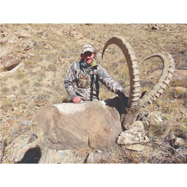506 #DIN-06 Mid-Asian Ibex Hunt, Kyrgyzstan