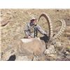 Image 1 : 506 #DIN-06 Mid-Asian Ibex Hunt, Kyrgyzstan