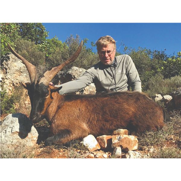 507 #DIN-07 Kri-Kri (Hybrid) Ibex Hunt, Greece or  Macedonia