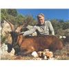 Image 1 : 507 #DIN-07 Kri-Kri (Hybrid) Ibex Hunt, Greece or  Macedonia