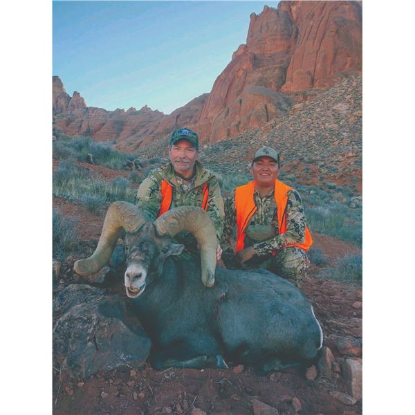 509 #DIN-09 Desert Sheep (Nelsoni) Tag, Navajo Nation