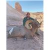 Image 2 : 509 #DIN-09 Desert Sheep (Nelsoni) Tag, Navajo Nation
