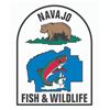 Image 3 : 509 #DIN-09 Desert Sheep (Nelsoni) Tag, Navajo Nation