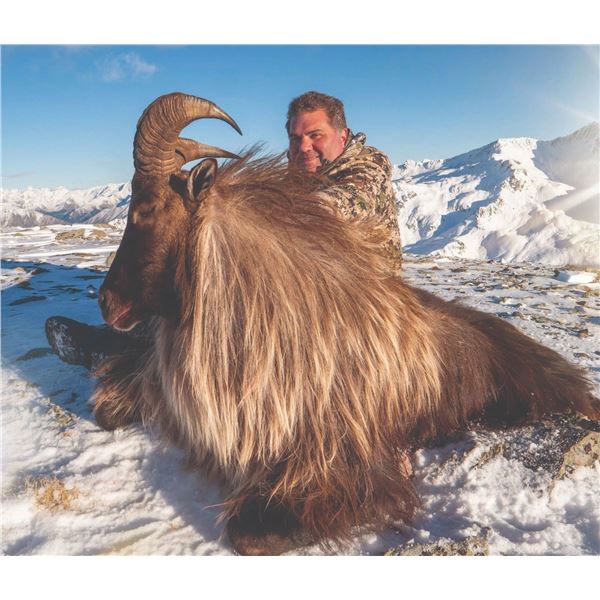 510 #DIN-10 Exclusive 4-Day 1x1 Tahr and Chamois Hunt in New Zealand