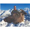 Image 5 : 510 #DIN-10 Exclusive 4-Day 1x1 Tahr and Chamois Hunt in New Zealand