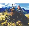 Image 6 : 510 #DIN-10 Exclusive 4-Day 1x1 Tahr and Chamois Hunt in New Zealand