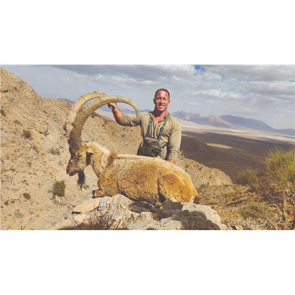 511 #DIN-11 Persian Desert Ibex Hunt, Iran