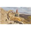 Image 1 : 511 #DIN-11 Persian Desert Ibex Hunt, Iran