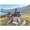 Image 3 : 512 #DIN-12 Rocky Mountain Bighorn Sheep  Hunt, Alberta