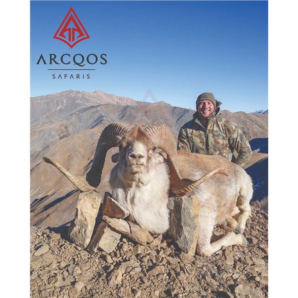 515 #DIN-15 Hume Argali (Marco Polo) Hunt, Kyrgyzstan