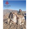 Image 1 : 515 #DIN-15 Hume Argali (Marco Polo) Hunt, Kyrgyzstan