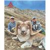 Image 3 : 515 #DIN-15 Hume Argali (Marco Polo) Hunt, Kyrgyzstan