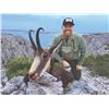 Image 1 : 518 #DIN-18 THREE Species Hunting Adventure,  Croatia