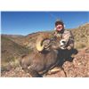Image 5 : 519 #DIN-19 Desert Bighorn Sheep (Mexicana) Hunt, Mexico