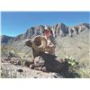 Image 6 : 519 #DIN-19 Desert Bighorn Sheep (Mexicana) Hunt, Mexico