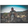 Image 8 : 519 #DIN-19 Desert Bighorn Sheep (Mexicana) Hunt, Mexico