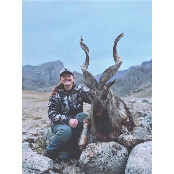520 #DIN-20 Kugitang Markhor Conservation  Project Hunt in Uzbekistan