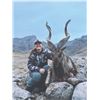 520 #DIN-20 Kugitang Markhor Conservation  Project Hunt in Uzbekistan