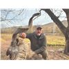 Image 2 : 520 #DIN-20 Kugitang Markhor Conservation  Project Hunt in Uzbekistan