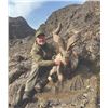 Image 3 : 520 #DIN-20 Kugitang Markhor Conservation  Project Hunt in Uzbekistan