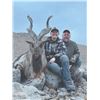Image 6 : 520 #DIN-20 Kugitang Markhor Conservation  Project Hunt in Uzbekistan