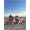 Image 7 : 520 #DIN-20 Kugitang Markhor Conservation  Project Hunt in Uzbekistan
