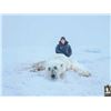 Image 1 : 522 #DIN-22 Polar Bear Hunt, Nunavut