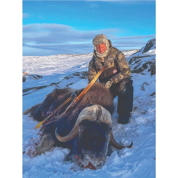602 #PREM-02 Barren Ground Muskox Spring Hunt,  Nunavut