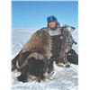 Image 3 : 602 #PREM-02 Barren Ground Muskox Spring Hunt,  Nunavut