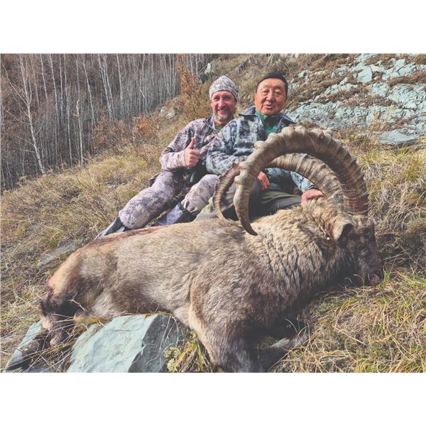 604 #PREM-04 Sayan Ibex Hunt, Russia