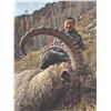 Image 2 : 604 #PREM-04 Sayan Ibex Hunt, Russia