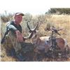 Image 1 : 605 #PREM-05 RIFLE or ARCHERY Antelope Hunt, Wyoming