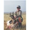 Image 2 : 605 #PREM-05 RIFLE or ARCHERY Antelope Hunt, Wyoming