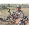 Image 4 : 605 #PREM-05 RIFLE or ARCHERY Antelope Hunt, Wyoming