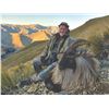 Image 2 : 606 #PREM-06 Himalayan Bull Tahr Hunt for Two Hunters and Two Non-Hunters, New Zealand
