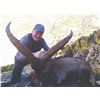 Image 3 : 609 #PREM-09 Southeastern Ibex Hunt for TWO, Spain