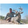 Image 2 : 610 #PREM-10 Coues Deer Hunt, Sonora, Mexico