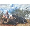Image 1 : 613 #PREM-13 Bucket List Africa Hunt for Four Hunters, Limpopo