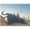 Image 2 : 613 #PREM-13 Bucket List Africa Hunt for Four Hunters, Limpopo