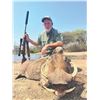 Image 6 : 613 #PREM-13 Bucket List Africa Hunt for Four Hunters, Limpopo