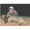 Image 7 : 613 #PREM-13 Bucket List Africa Hunt for Four Hunters, Limpopo