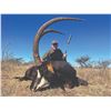 Image 9 : 613 #PREM-13 Bucket List Africa Hunt for Four Hunters, Limpopo