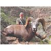 Image 3 : 614 #PREM-14 Three-Year Membership in Zero Outfitter  Fees (ZOF): AZ, WY, NM, UT and NV