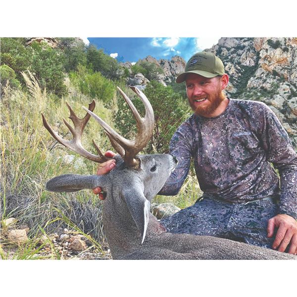 701 #SLA-01 Coues Deer Hunt for Two Hunters (with Free Mountain Lion Bonus),  Arizona